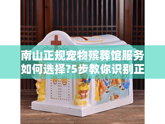 南山正规宠物殡葬馆服务如何选择?5步教你识别正规机构