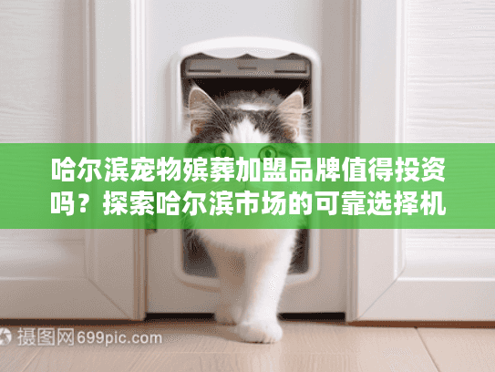 哈尔滨宠物殡葬加盟品牌值得投资吗？探索哈尔滨市场的可靠选择机会