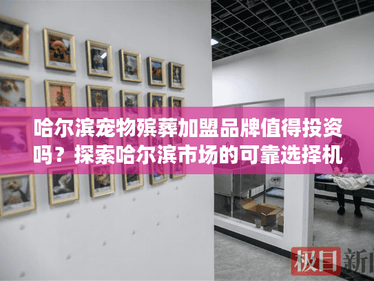 哈尔滨宠物殡葬加盟品牌值得投资吗？探索哈尔滨市场的可靠选择机会