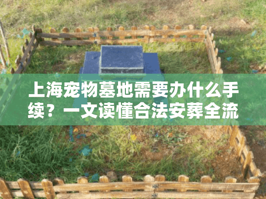 上海宠物墓地需要办什么手续？一文读懂合法安葬全流程