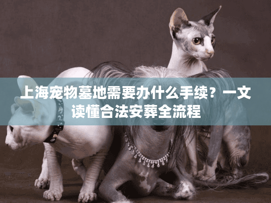 上海宠物墓地需要办什么手续？一文读懂合法安葬全流程