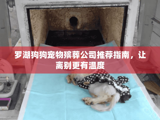 罗湖狗狗宠物殡葬公司推荐指南，让离别更有温度
