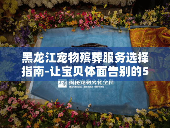 黑龙江宠物殡葬服务选择指南-让宝贝体面告别的5个必知要点