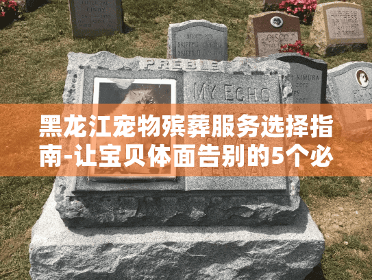 黑龙江宠物殡葬服务选择指南-让宝贝体面告别的5个必知要点