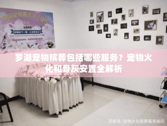 罗湖宠物殡葬包括哪些服务？宠物火化和骨灰安置全解析