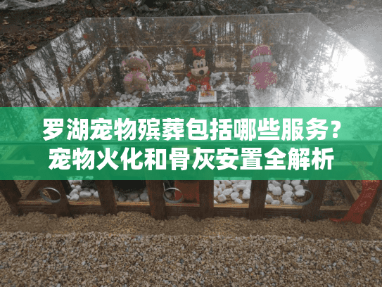 罗湖宠物殡葬包括哪些服务？宠物火化和骨灰安置全解析