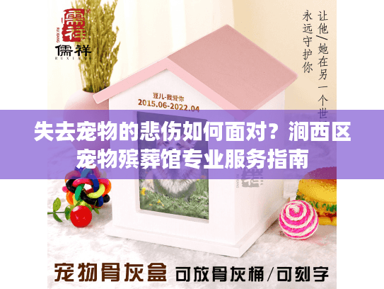 失去宠物的悲伤如何面对？涧西区宠物殡葬馆专业服务指南