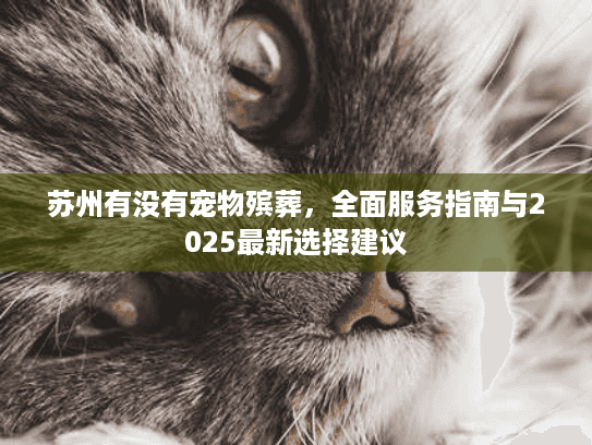 苏州有没有宠物殡葬，全面服务指南与2025最新选择建议