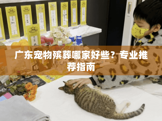 广东宠物殡葬哪家好些？专业推荐指南