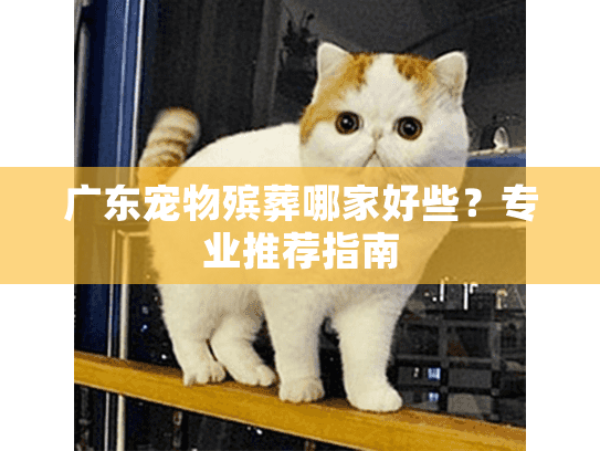 广东宠物殡葬哪家好些？专业推荐指南