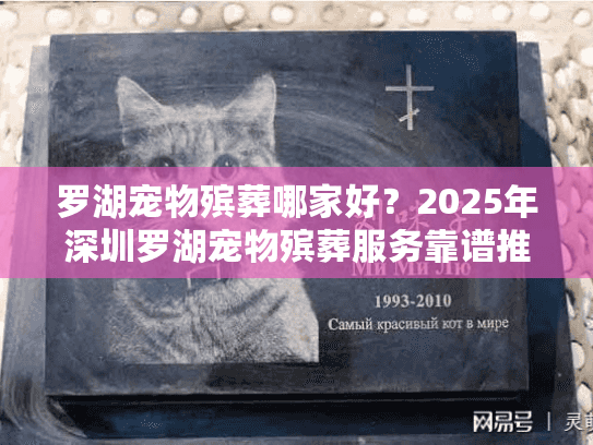 罗湖宠物殡葬哪家好？2025年深圳罗湖宠物殡葬服务靠谱推荐榜单