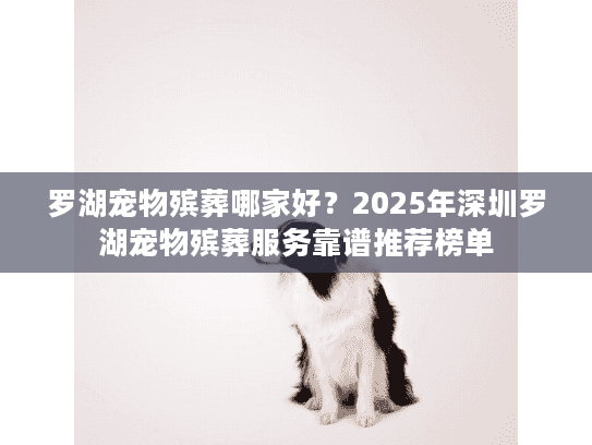 罗湖宠物殡葬哪家好？2025年深圳罗湖宠物殡葬服务靠谱推荐榜单