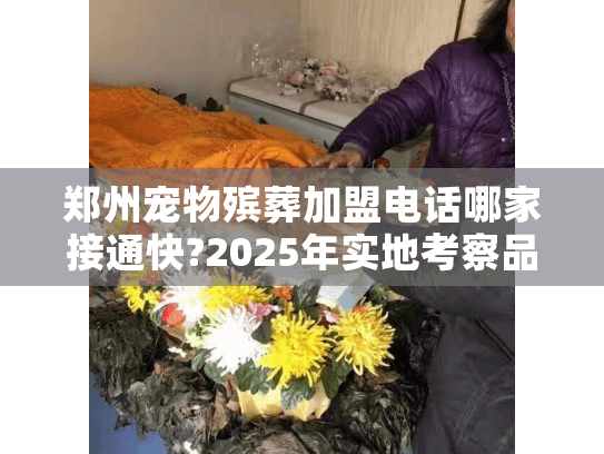 郑州宠物殡葬加盟电话哪家接通快?2025年实地考察品牌揭秘
