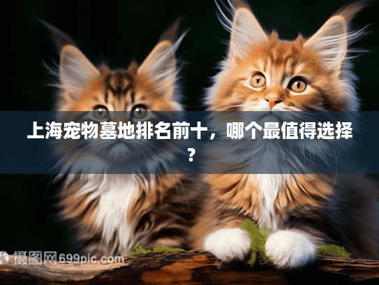 上海宠物墓地排名前十，哪个最值得选择？