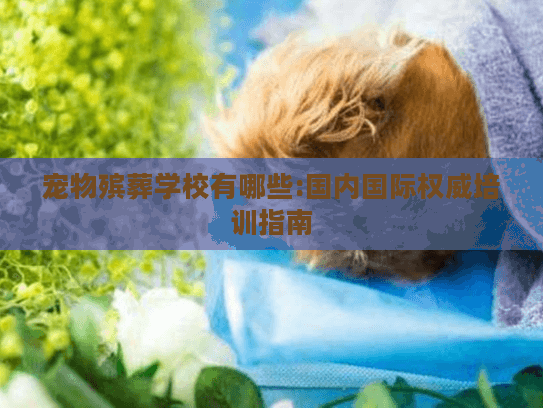 宠物殡葬学校有哪些:国内国际权威培训指南