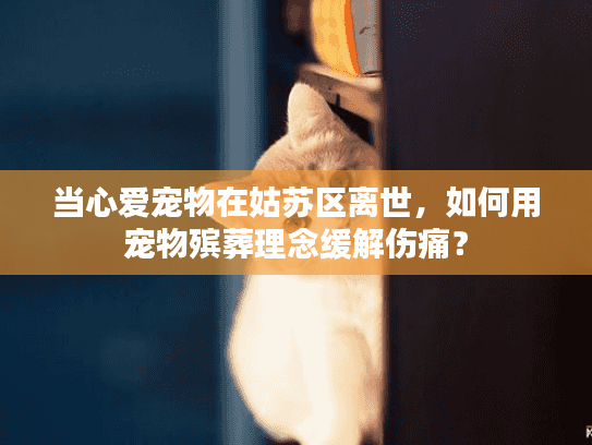 当心爱宠物在姑苏区离世，如何用宠物殡葬理念缓解伤痛？