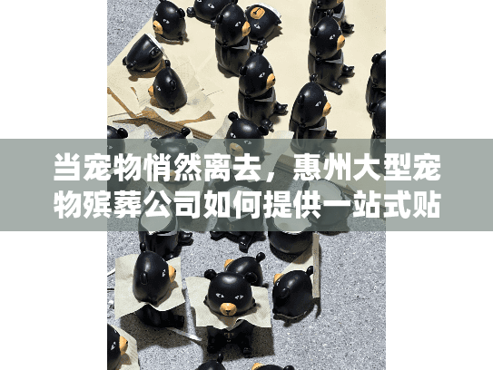 当宠物悄然离去，惠州大型宠物殡葬公司如何提供一站式贴心服务？