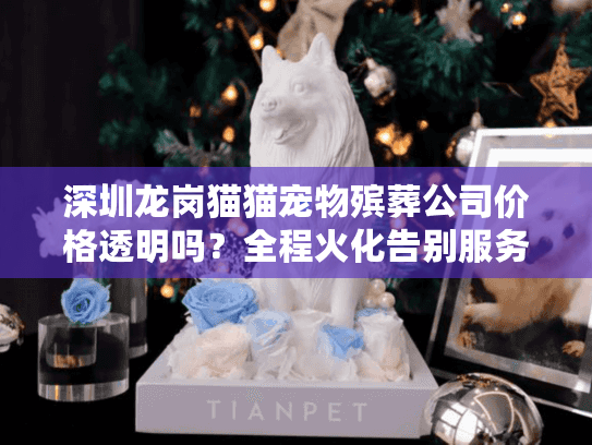 深圳龙岗猫猫宠物殡葬公司价格透明吗？全程火化告别服务详解