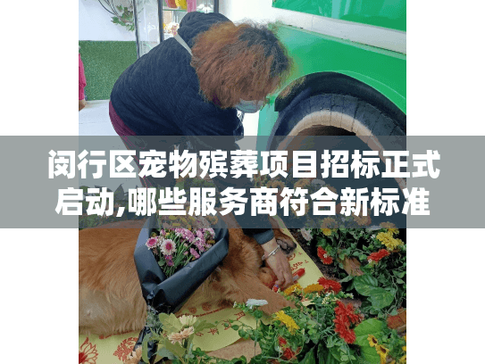 闵行区宠物殡葬项目招标正式启动,哪些服务商符合新标准?