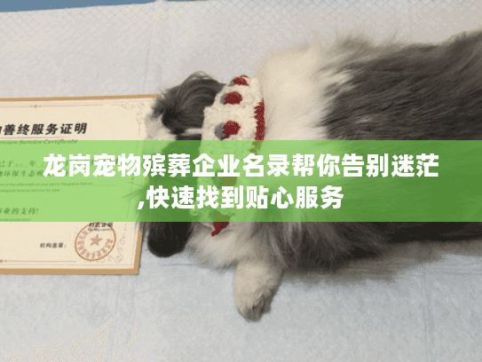 龙岗宠物殡葬企业名录帮你告别迷茫,快速找到贴心服务