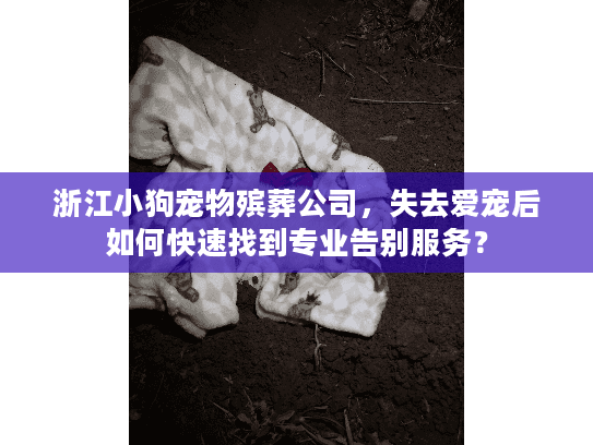 浙江小狗宠物殡葬公司，失去爱宠后如何快速找到专业告别服务？