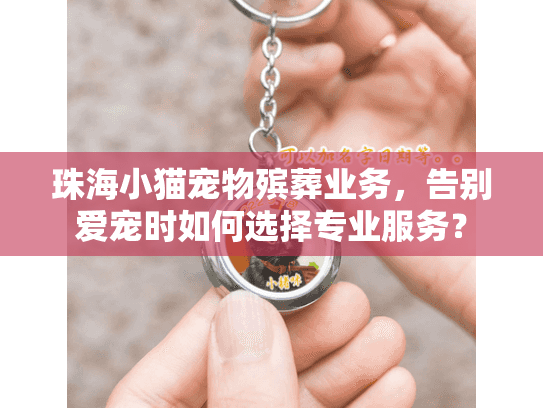 珠海小猫宠物殡葬业务，告别爱宠时如何选择专业服务？