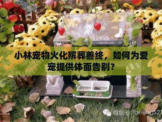 小林宠物火化殡葬善终，如何为爱宠提供体面告别？