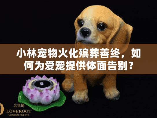 小林宠物火化殡葬善终，如何为爱宠提供体面告别？