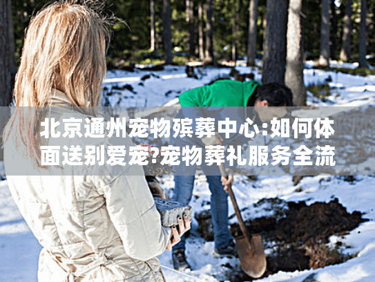 北京通州宠物殡葬中心:如何体面送别爱宠?宠物葬礼服务全流程解析