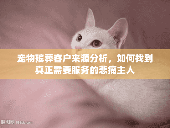 宠物殡葬客户来源分析，如何找到真正需要服务的悲痛主人
