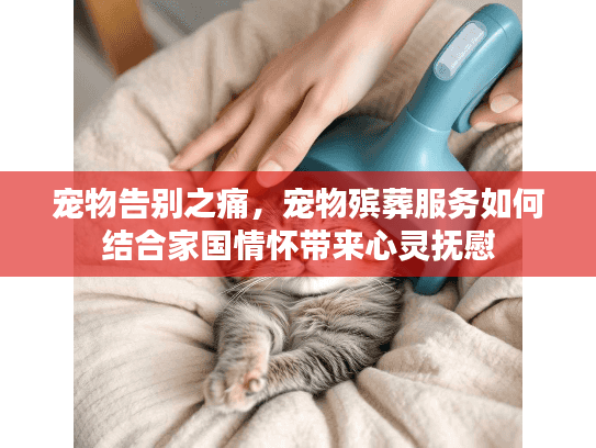 宠物告别之痛，宠物殡葬服务如何结合家国情怀带来心灵抚慰