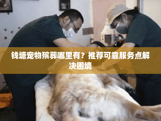 钱塘宠物殡葬哪里有？推荐可靠服务点解决困境
