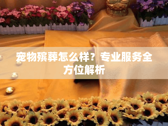 宠物殡葬怎么样？专业服务全方位解析