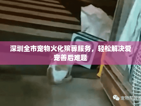 深圳全市宠物火化殡葬服务，轻松解决爱宠善后难题