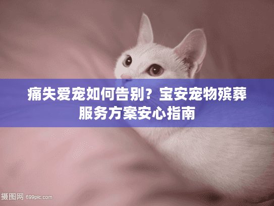 痛失爱宠如何告别?宝安宠物殡葬服务方案安心指南 痛失爱宠如何告别?宝安宠物殡葬服务方案安心指南