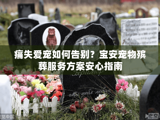 痛失爱宠如何告别?宝安宠物殡葬服务方案安心指南 痛失爱宠如何告别?宝安宠物殡葬服务方案安心指南