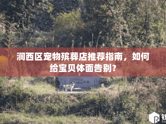 涧西区宠物殡葬店推荐指南，如何给宝贝体面告别？