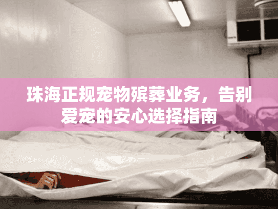 珠海正规宠物殡葬业务，告别爱宠的安心选择指南