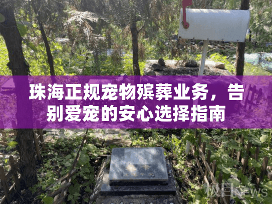 珠海正规宠物殡葬业务，告别爱宠的安心选择指南