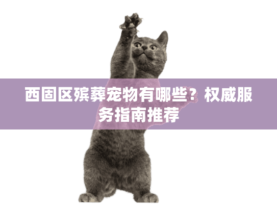 西固区殡葬宠物有哪些？权威服务指南推荐