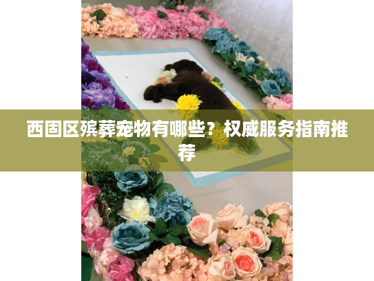 西固区殡葬宠物有哪些？权威服务指南推荐