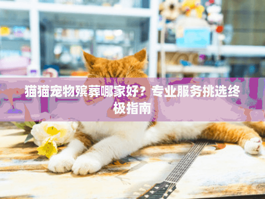 猫猫宠物殡葬哪家好？专业服务挑选终极指南