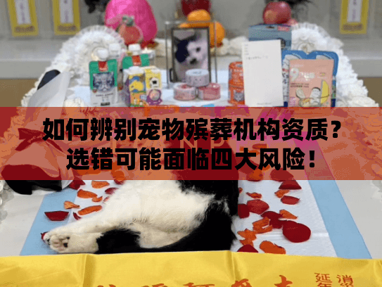 如何辨别宠物殡葬机构资质？选错可能面临四大风险！