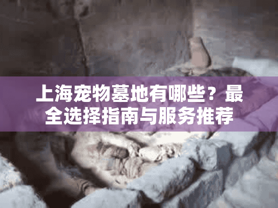 上海宠物墓地有哪些？最全选择指南与服务推荐