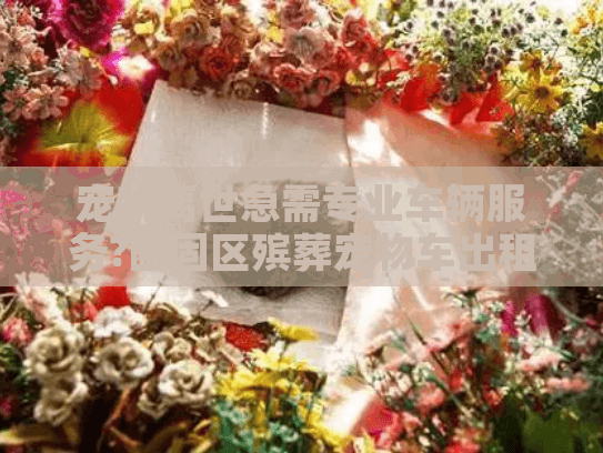 宠物离世急需专业车辆服务?西固区殡葬宠物车出租快速响应