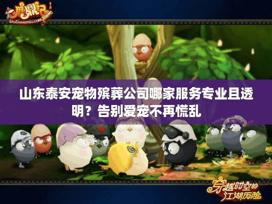 山东泰安宠物殡葬公司哪家服务专业且透明？告别爱宠不再慌乱