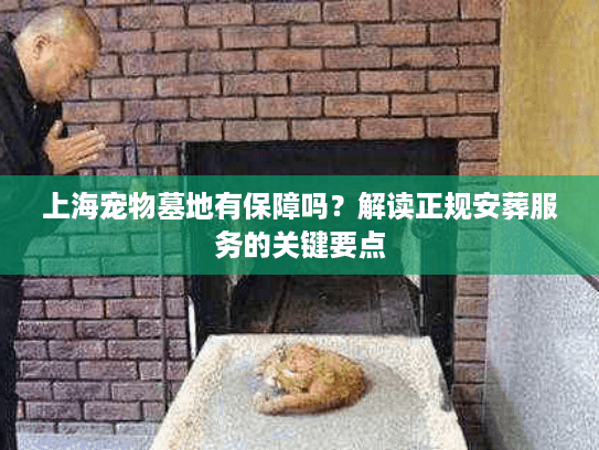 上海宠物墓地有保障吗？解读正规安葬服务的关键要点