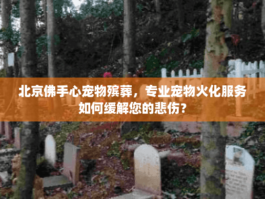 北京佛手心宠物殡葬，专业宠物火化服务如何缓解您的悲伤？