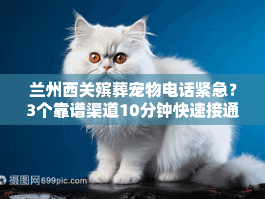 兰州西关殡葬宠物电话紧急？3个靠谱渠道10分钟快速接通