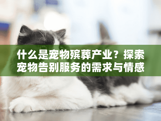什么是宠物殡葬产业？探索宠物告别服务的需求与情感疗愈之道